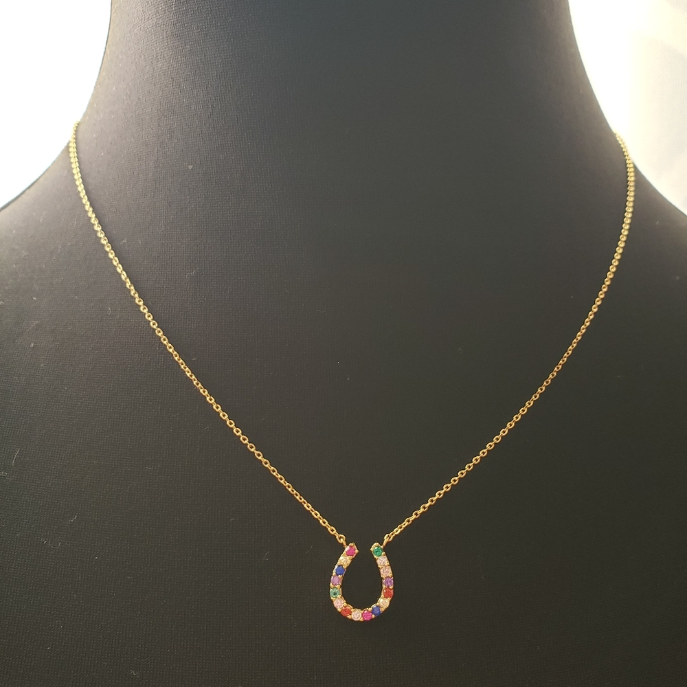 ￼

Multi Color Horseshoe Charm Simple Chain Neckla